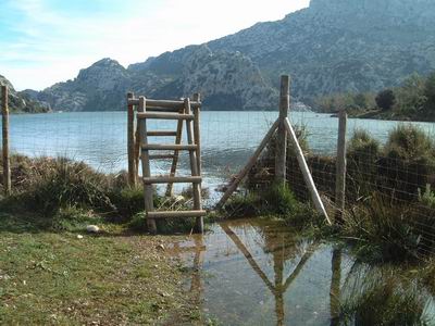 DSCF0108.JPG